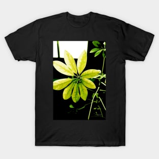 By The Window T-Shirt